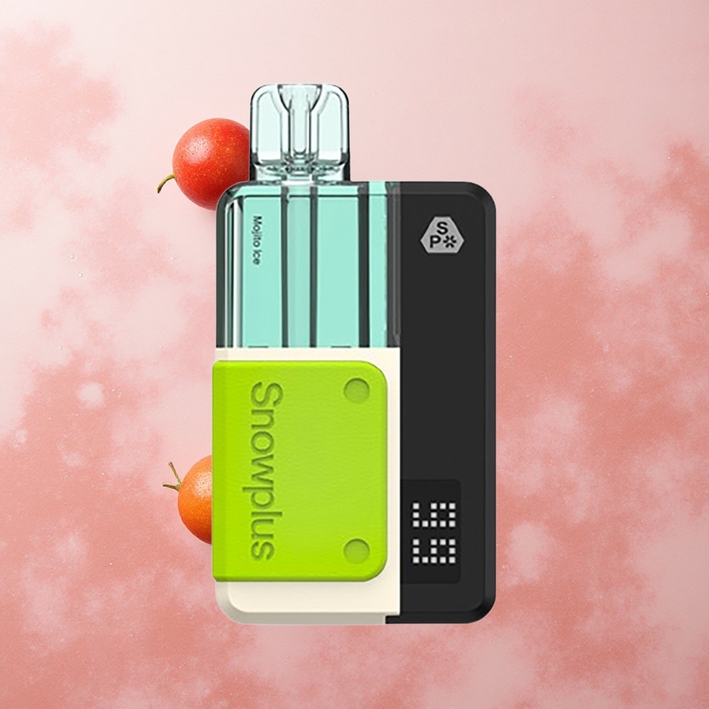 Snowplus Swift 5000 Puffs Dual Mesh 1000mAh Mojito Ice