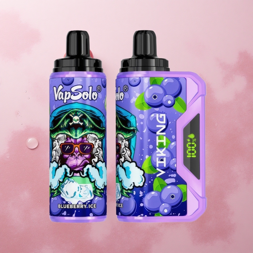 VapSolo VIKING 12000 Puffs 22ml Blueberry Type-C LED Display