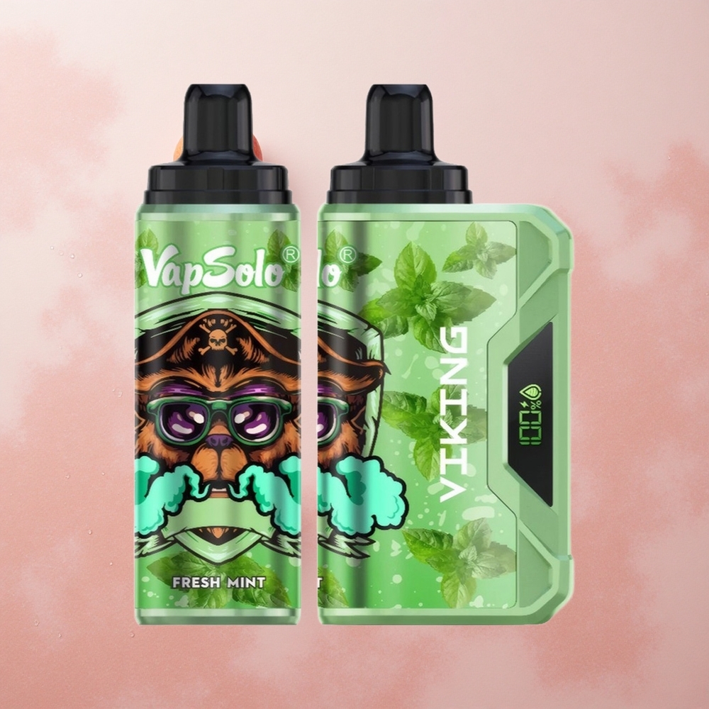 VapSolo VIKING 12000 Puffs Fresh Mint 22ml Type-C