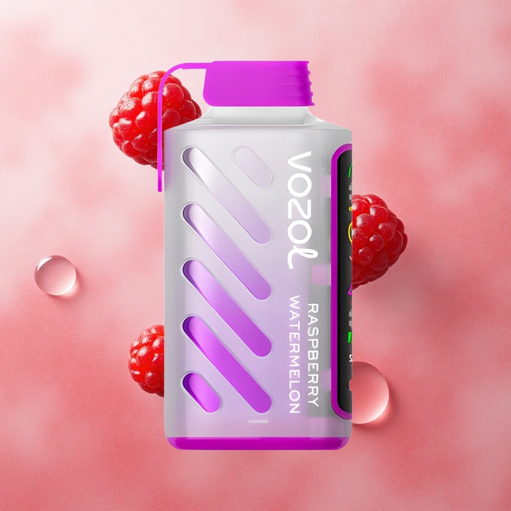 VOZOL Gear Power 20000 Puffs Dual Mesh Raspberry Watermelon 20mL