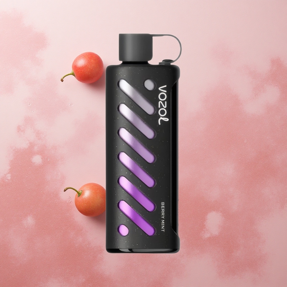 VOZOL Gear Shisha 25000 Puffs Berry Mint Dual Mesh Dual Modes
