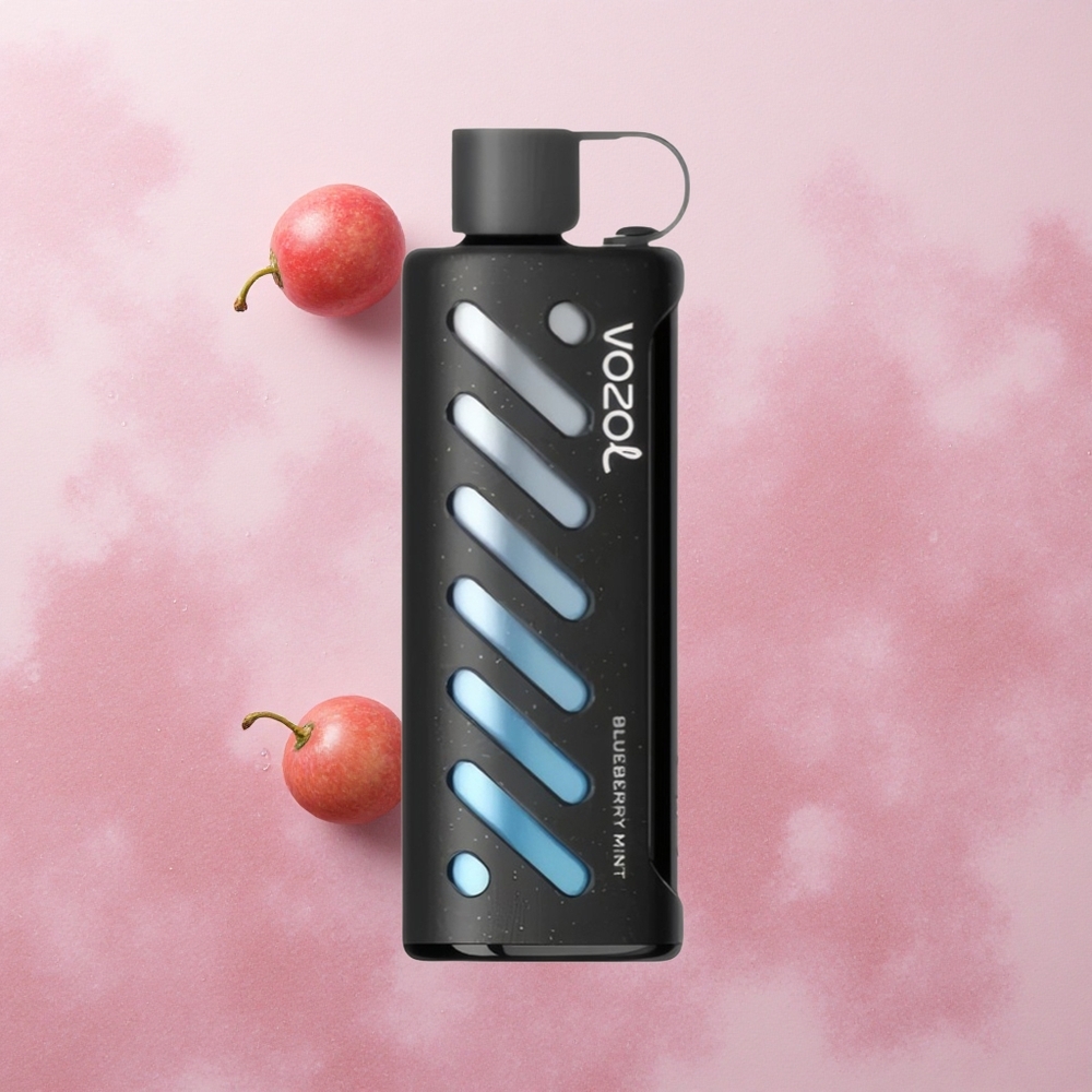 VOZOL Gear Shisha 25000 Puffs Blueberry Mint Dual Mesh