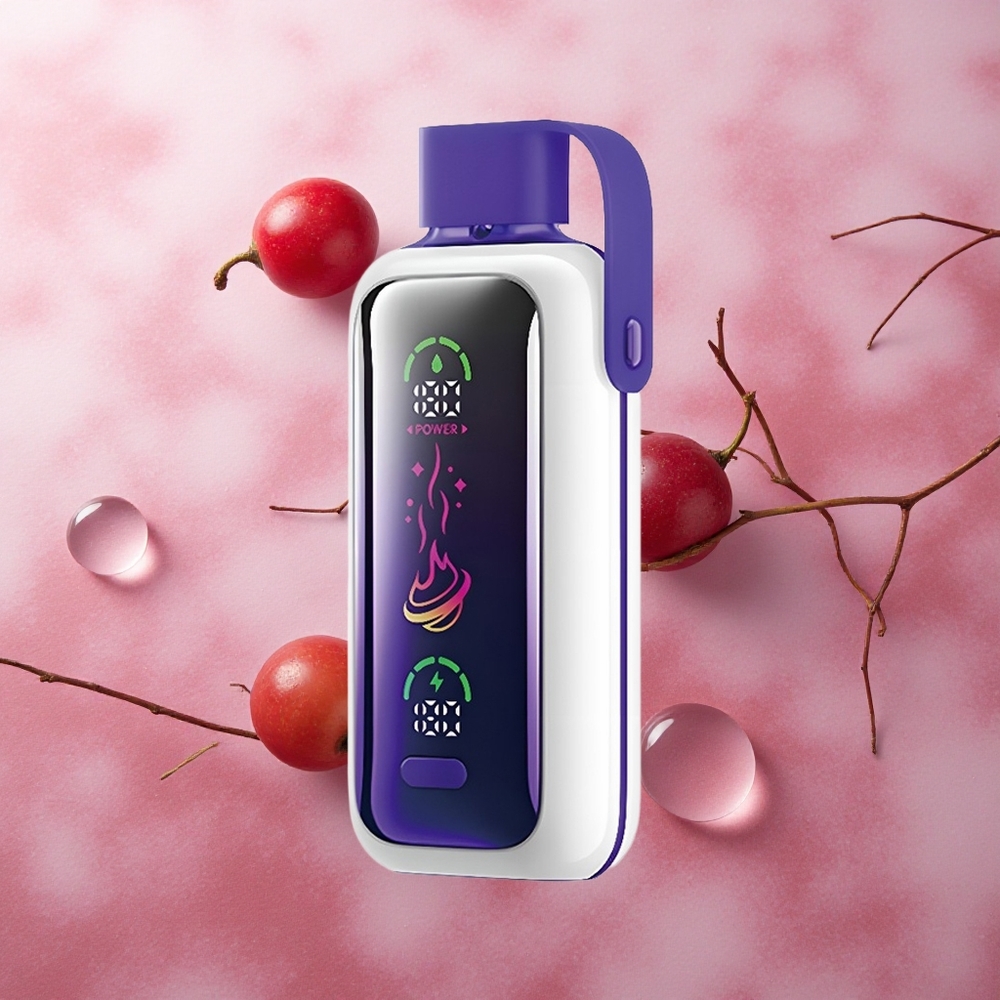 VOZOL Star 20000 Puffs Grape Ice Dual Mesh