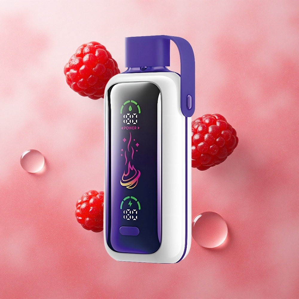 VOZOL Star 20000 Puffs Raspberry Watermelon Dual Mesh HD Screen