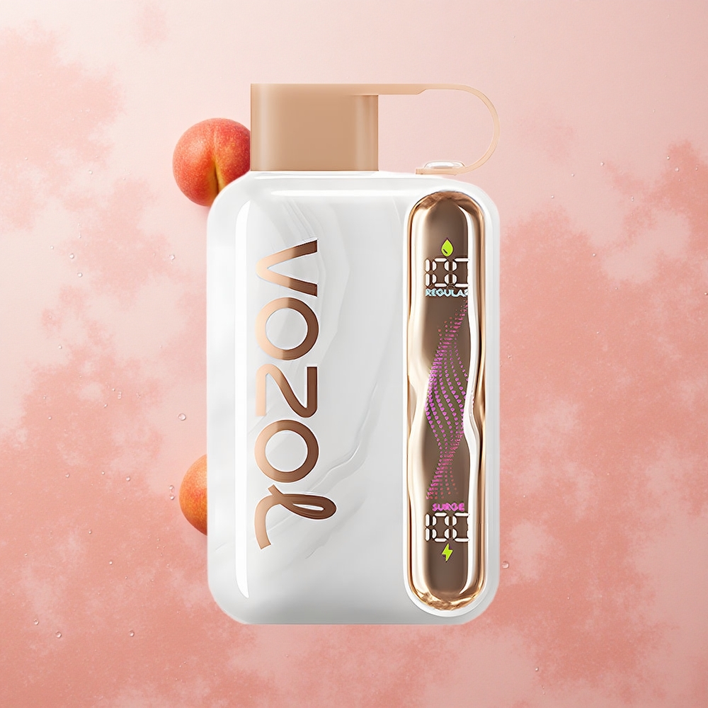 VOZOL STAR 40000 Peach Ice Disposable Vape 1000mAh Type-C