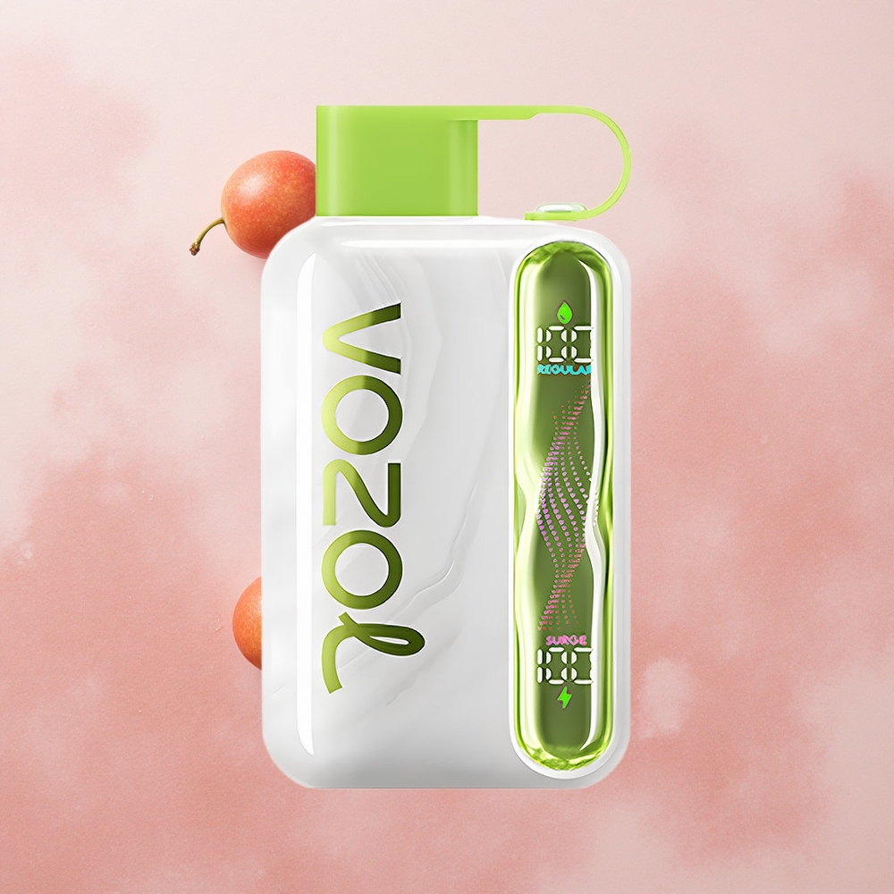 VOZOL STAR 40000 Puffs 1000mAh Type-C Cool Mint