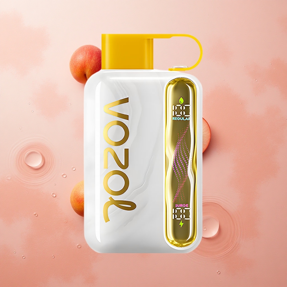 VOZOL STAR 40000 Puffs 1000mAh Type-C Mango Peach
