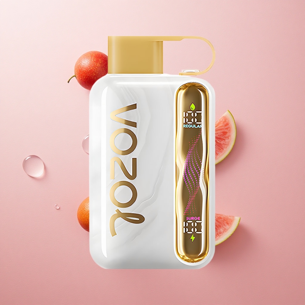 VOZOL STAR 40000 Puffs 1000mAh Type-C Melon Ice