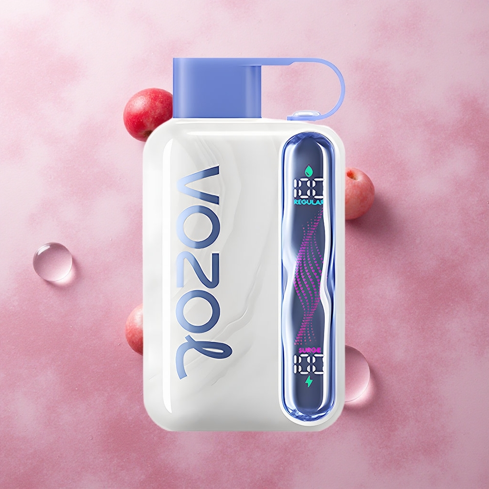 VOZOL STAR 40000 Puffs Blueberry Ice 1000mAh Type-C