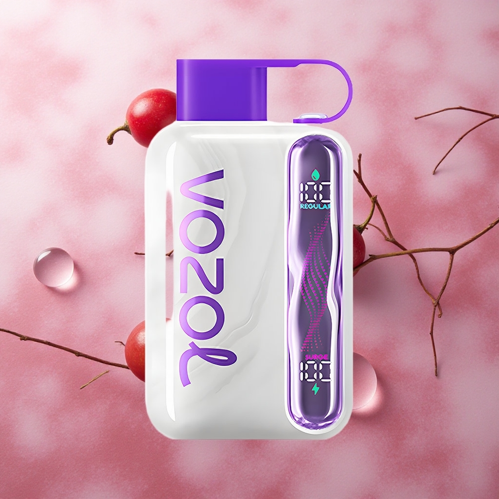 VOZOL STAR 40000 Puffs Grape Ice 1000mAh Type-C