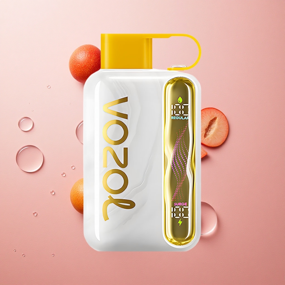VOZOL STAR 40000 Puffs Mango Ice 1000mAh Type-C