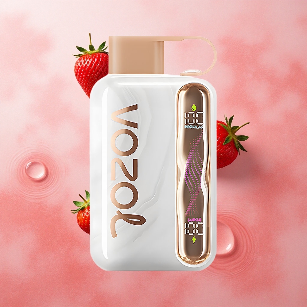 VOZOL STAR 40000 Puffs Strawberry Watermelon 1000mAh Type-C