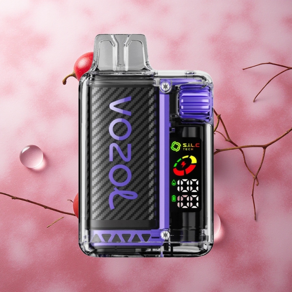 VOZOL Vista 20000 Puffs 650mAh MTL Grape Ice
