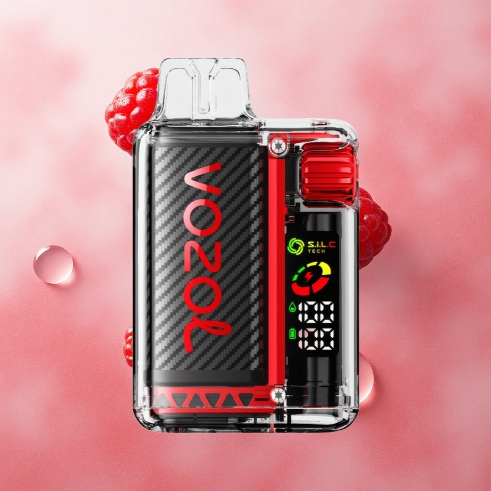 VOZOL Vista 20000 Puffs Raspberry Watermelon Rechargeable OLED