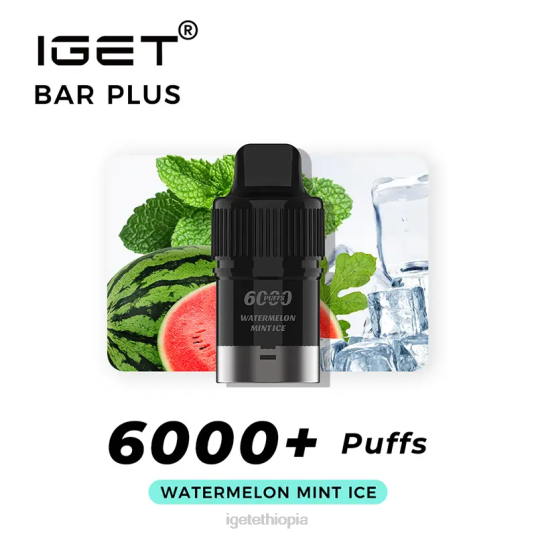Nicotine Free IGET Online Bar Plus Pod 6000 Puffs B2066381 Watermelon Mint Ice
