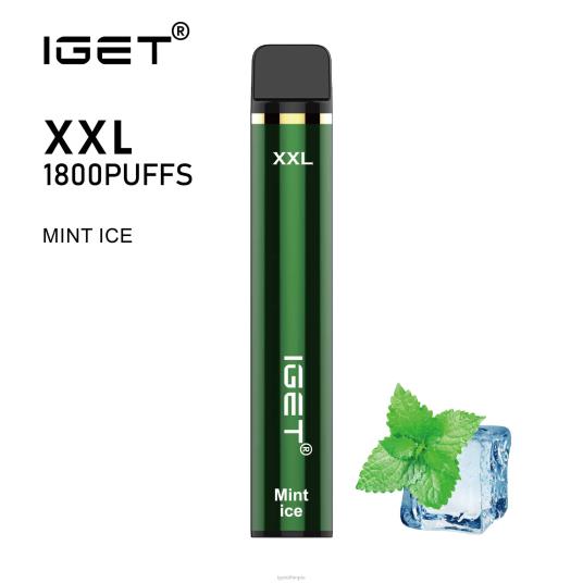 IGET Wholesale XXL B206663 Mint Ice
