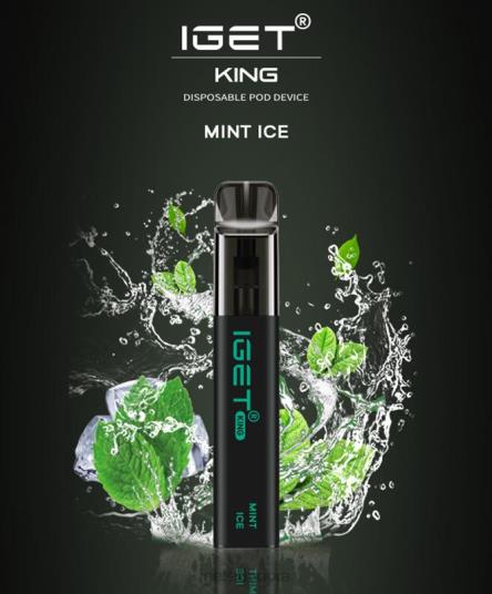 IGET Shop KING - 2600 PUFFS B2066449 Mint Ice