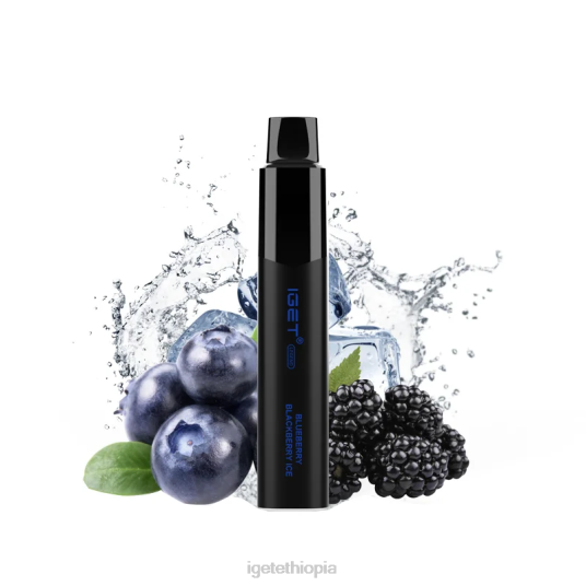 IGET Vape Flavours Legend 4000 Puffs B2066325 Blueberry Blackberry Ice
