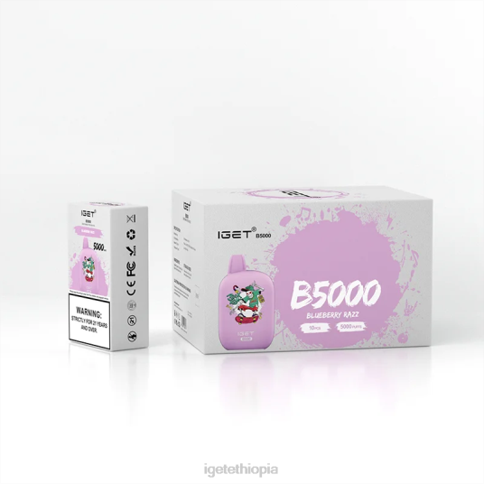 IGET Vape Sale B5000 B2066310 Blueberry Razz