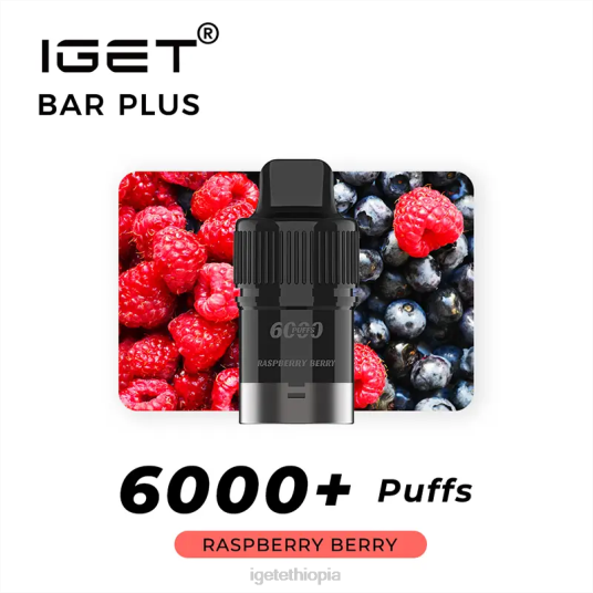 IGET Vape Sale Bar Plus Pod 6000 Puffs B2066256 Raspberry Berry