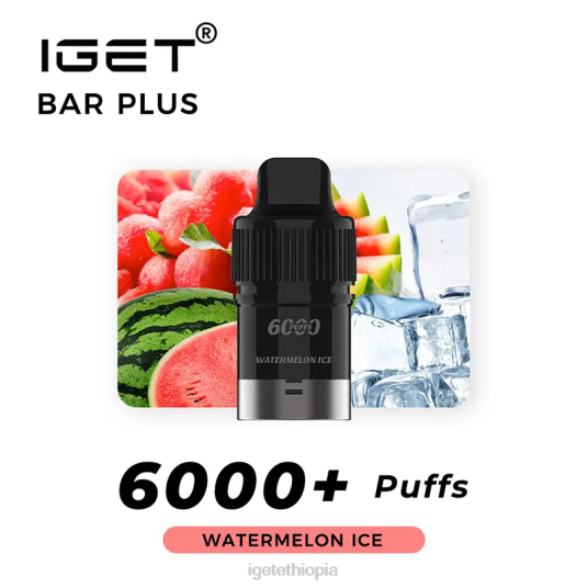 Online IGET Vapes Bar Plus Pod 6000 Puffs B2066272 Watermelon Ice